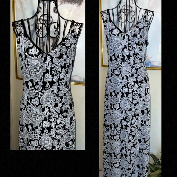 ARIANNA BY RACHEL KAYE SILVER/BLACK FLORAL LACE FULL LENGTH DRESS~STRETCH~10 - Picture 4 of 6